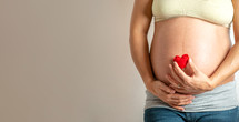 pregnant woman. Red heart in hand