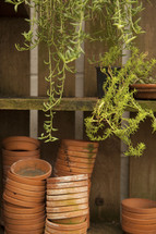 stacked terra-cotta pots and house plants 