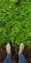 a woman standing in green ground cover 