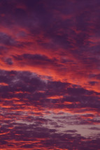 pink and purple clouds in the sky 