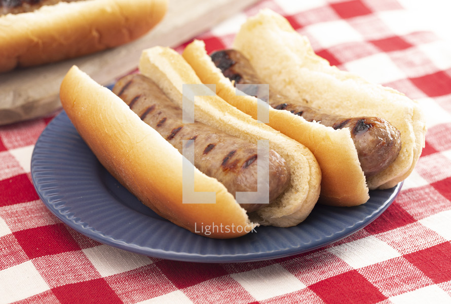 Grilled Bratwurst in a Hotdog Bun Isolated on a checked tablecloth Background