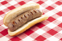 Grilled Bratwurst in a Hotdog Bun 