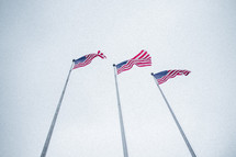 American flags on flag poles