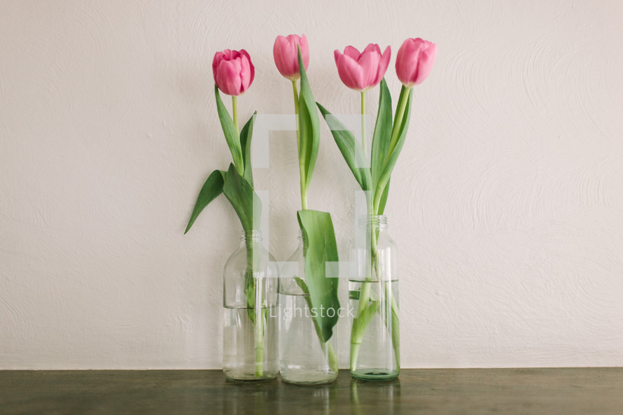pink tulips in a vase 