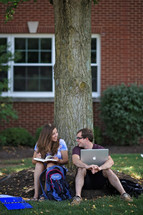 students studying under a tree 