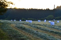 hay bales wrapped in plastic in a field 