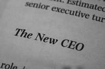 The New CEO 