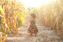 toddler girl standing in a corn field 
