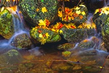water flowering over moss covered stones 