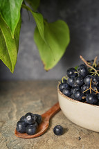 Closeup Black Chokeberry Berries Aronia Melanocarpa