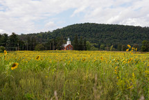 church and field of sunflowers 