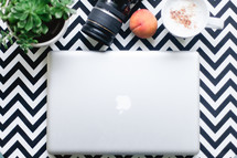laptop, camera, succulent plant, peach, mug