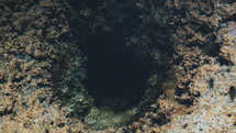 cave and coral in rock 