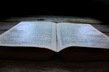 open Bible 