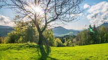 Sunrise over fresh green nature with cherry tree in spring alps mountains landscape time-lapse
