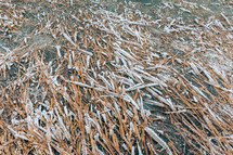 Frozen water covered in frost covered grass.