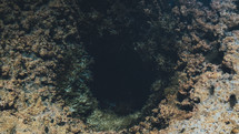 cave, coral, ocean, reef