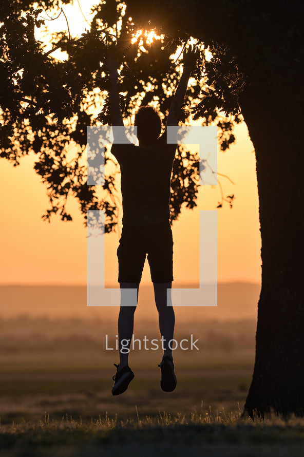 silhouette of a boy climbing a tree at sunset 