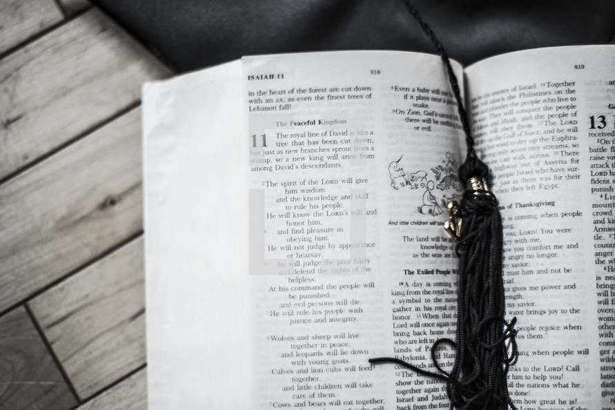 Tassel and graduation hat on open bible. 