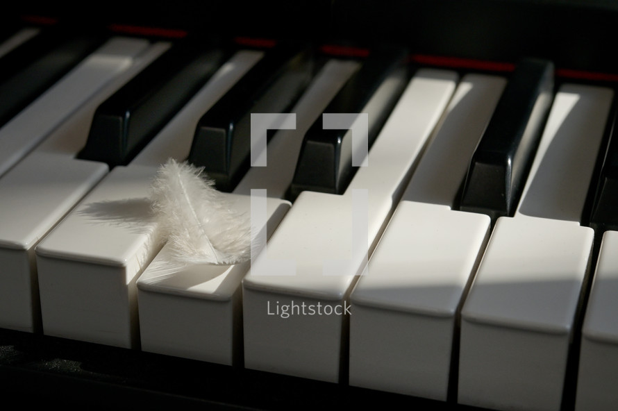 soft White Feather touching keyboard of piano