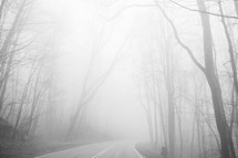 fog and trees along a rural road 