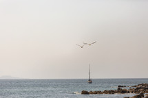pelicans flying over the ocean 