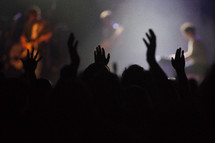 raised hands of an audience at a concert 