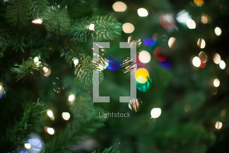 Christmas lights on a Christmas tree 