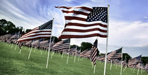 Display of American flags for Memorial Day.