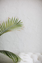 tropical leaves and white couch 