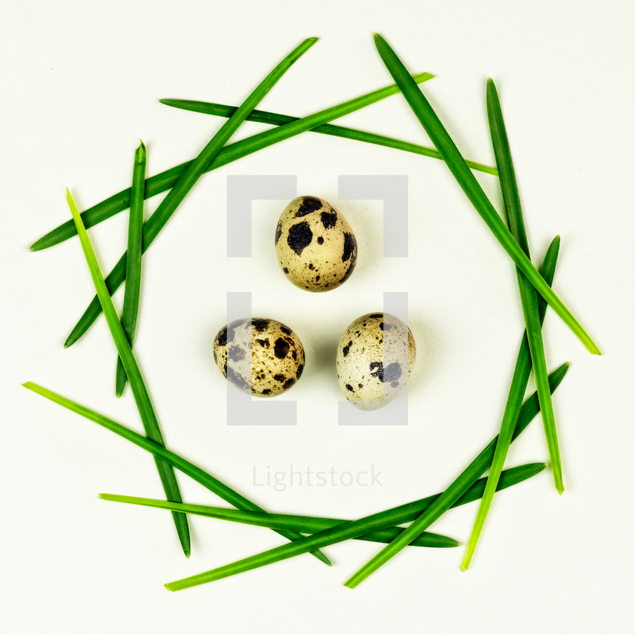 Easter wreath of grass blades with eggs 