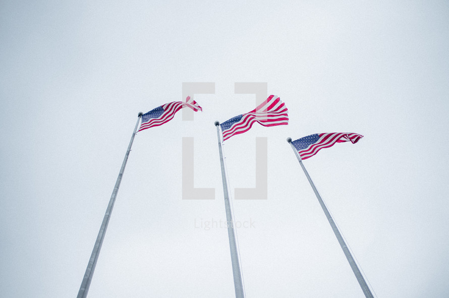 American flags on flag poles