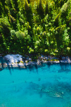 turquoise waters and green forest along a shore 