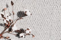 cotton spray on a gray knit blanket 