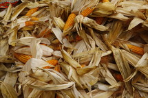 pile of corn husks