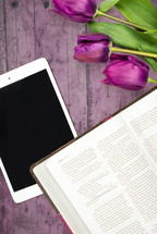 purple tulips, ipad, open Bible, pages