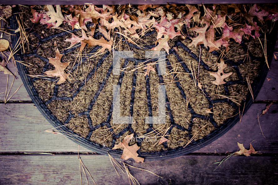 fall leaves on a doormat 