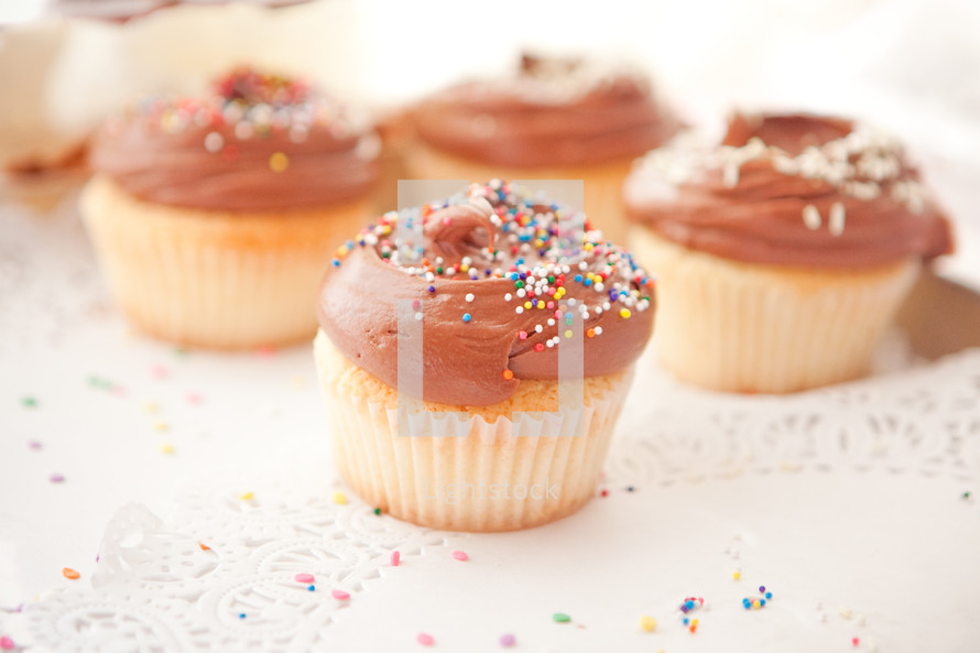 chocolate cupcakes 