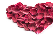 A heart made of red flower petals.