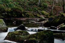Wood creek