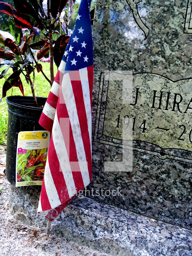 American flag and plant on a tombstone 