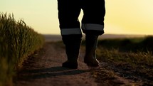 A farmer walks across a field in rubber boots on a sunset. Agronomist walking on the field in rubber boots. Agriculture, agricultural land.