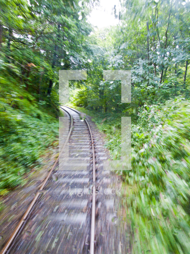 railroad tracks through a dense forest
