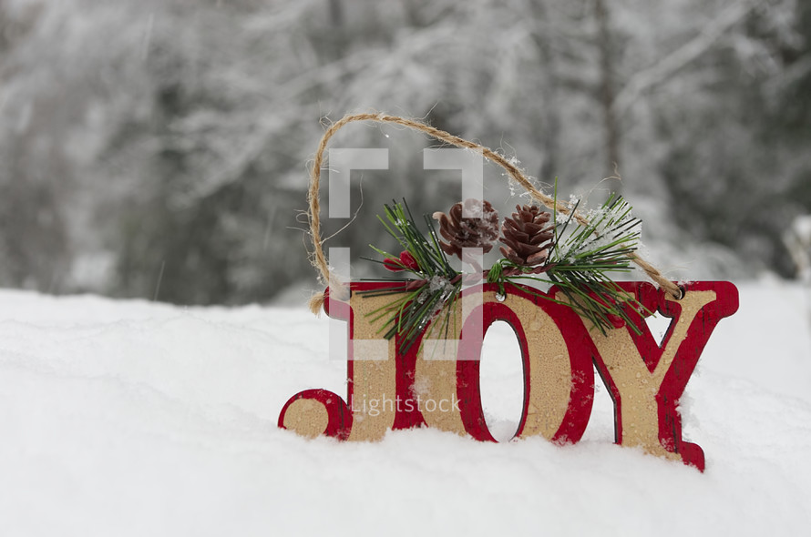 Joy ornament in snow 