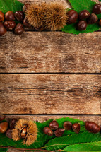 chestnuts on a wood background 