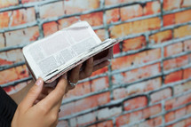 woman reading a pocket Bible 
