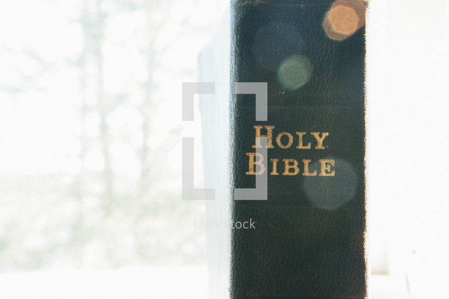 Holy Bible spine