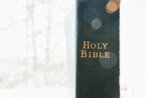 Holy Bible spine