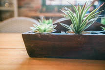 house plant centerpiece on a table 