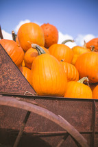 pumpkins in a rusty wagon